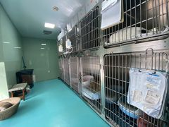 -申普宠物医院·心脏介入·心血管微创(总院)