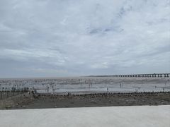 -南汇新城海滩