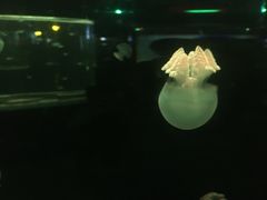 -重庆欢乐海底世界