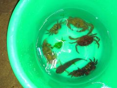 纪念品-老虎石海上公园