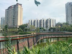 -四海公园(南山区)