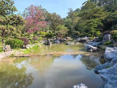 -东莞植物园