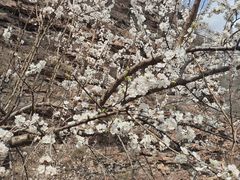 -爱情山风景区