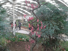 花艺館-上海共青森林公园