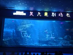 -多彩贵州城极地海洋世界