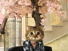 -汤里来温泉