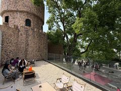 -J Create城市露营咖啡·简餐·宠物(上海动物园店)