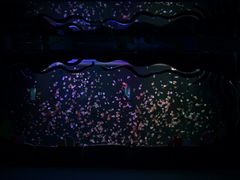 -石家庄极地海洋世界