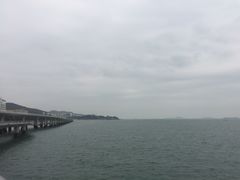 -演武大桥观景平台