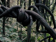 -成都老君山