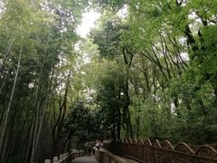 -灵岩山风景区