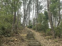 -青龙山国家森林公园