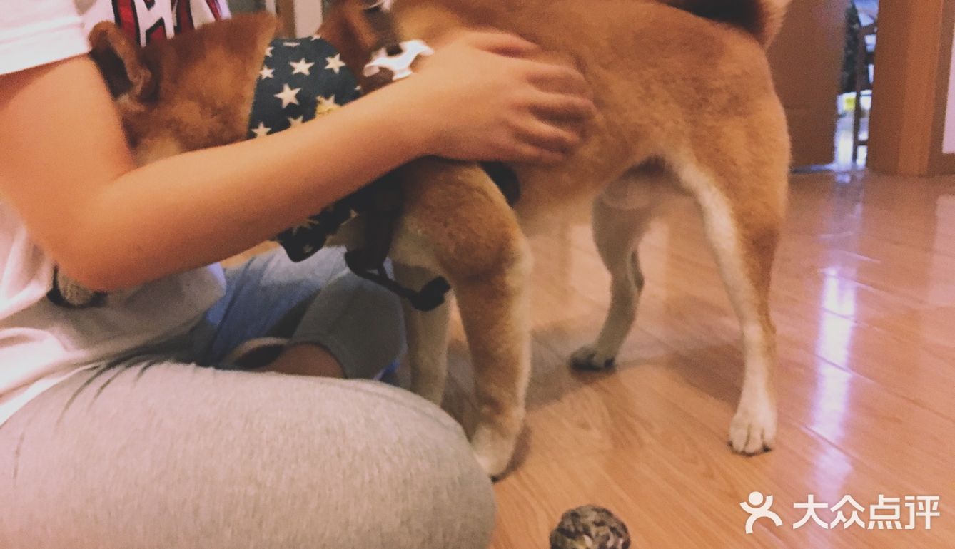 想吃芋圆不巧家里什么材料都有，不就是糖水吗