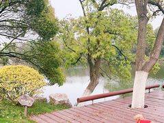 -长田漾湿地公园
