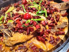 -老板恋上鱼(印象城店)