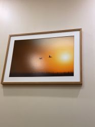 -北京米扬丽格医疗美容·联合丽格鼻整形中心