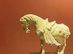 -宁夏博物馆