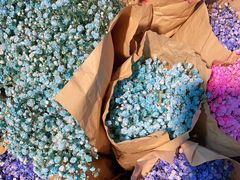 -循礼门鲜花花市(武汉循礼门店)