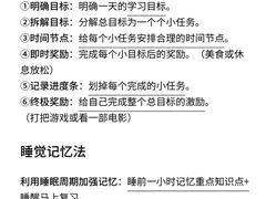 -JT PREP国际学科课程·IB·AP·Alevel(陆家嘴校区)