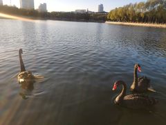 -长春世界雕塑园冰雪艺术天地