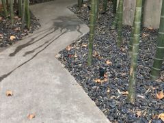 -穹六人间 people 6(岳阳路店)