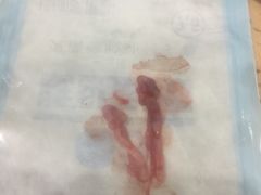 -伟伟宠物医院·CT影像中心·瑞派犬猫综合性门诊(汉口总院)