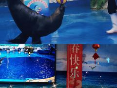 -多彩贵州城极地海洋世界