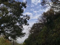 -宝界山林公园