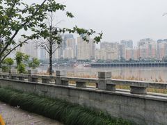 -江心屿景区