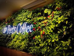 -Peet's Coffee皮爷咖啡(大学路店)