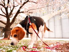 -龙美术馆(西岸馆)