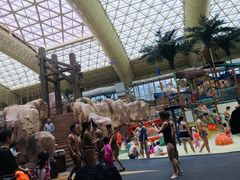 -杭州开元森泊度假乐园