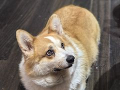 -肥朵食堂(带梦胡同店)