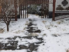 -北京植物园南门售票处