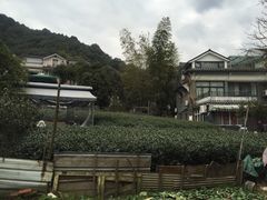 -自在弥林花园餐厅(云栖店)