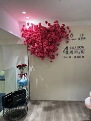 -海菲秀黑钻·SELF SKIN悦己·Tech SPA