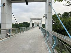 -东莞植物园