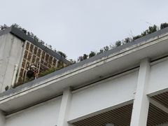 -胪雷小学