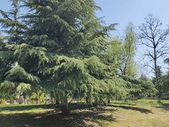 -济南国际园博园