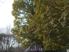 -方山风景区定林寺