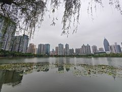 -西北湖绿化广场
