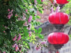 -老门东历史文化街区