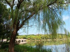 -昆山城市生态森林公园