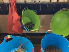 -班赞海鲜市场胖阿姨加工点