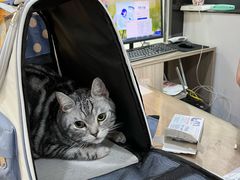 -荔康动物医院(康王北路店)