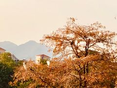 -肥妹烧腊店(洪湖店)