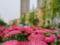 -府河摄影公园