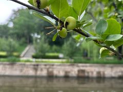 -元大都城垣遗址公园