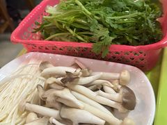 -15年老字号鑫鑫猪肚鸡·椰子鸡海南火锅(兴隆华侨农场店)