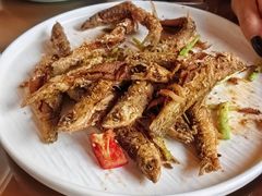 -芦茨金富饭庄·25年老字号·专做稻草鸡